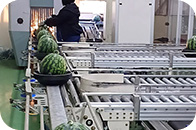 Distribution Center Facility